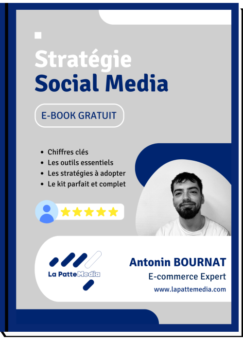 E-booke Stratégie Social Media